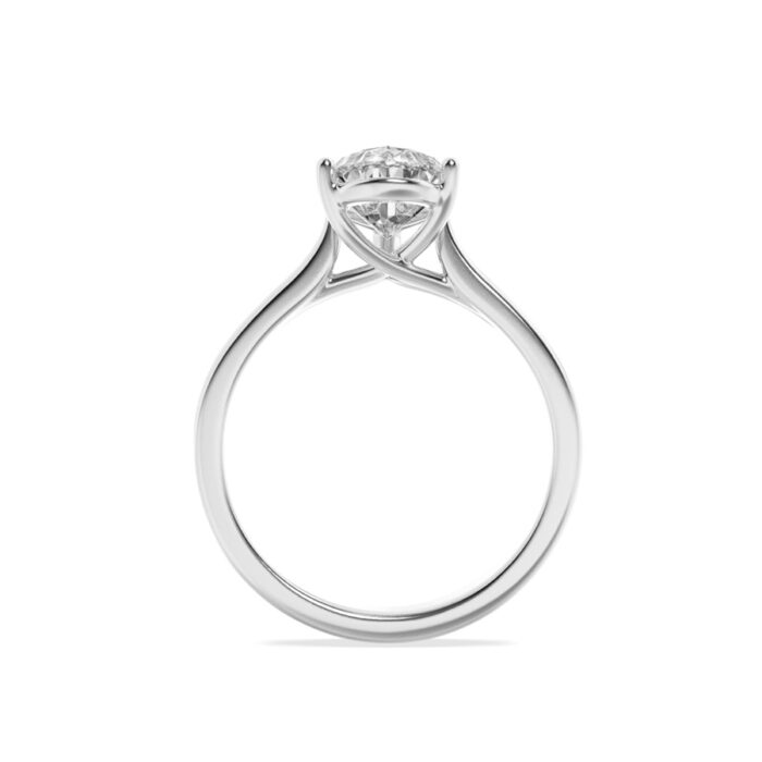 676459_2.jpg 676459_2.jpg