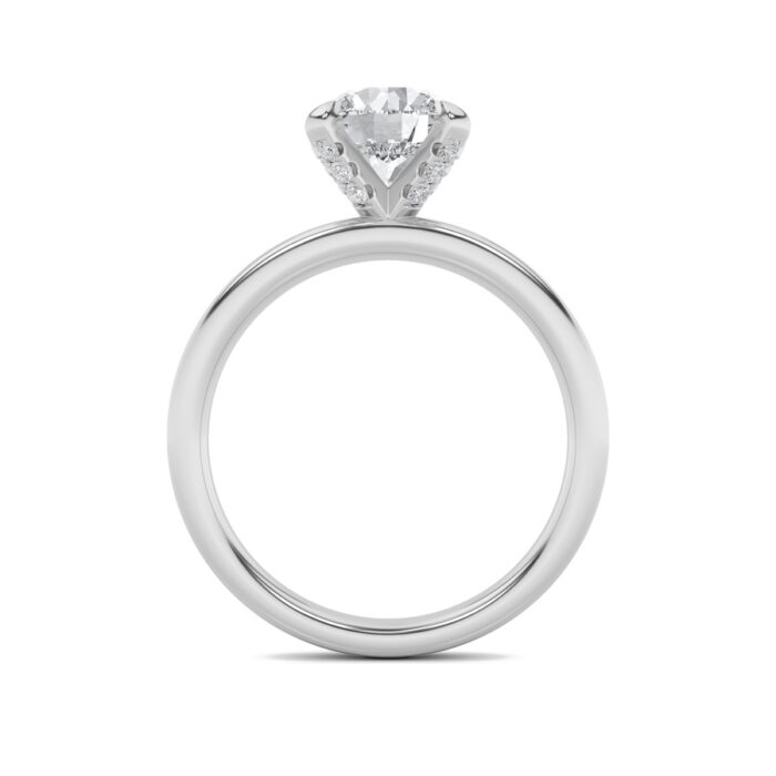 676486_2-3.jpg 676486_2-3.jpg