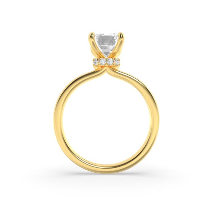 677487_2-2.jpg 677487_2-2.jpg