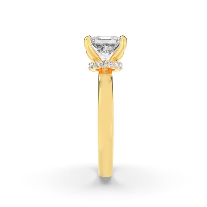 677494_3-1.jpg 677494_3-1.jpg