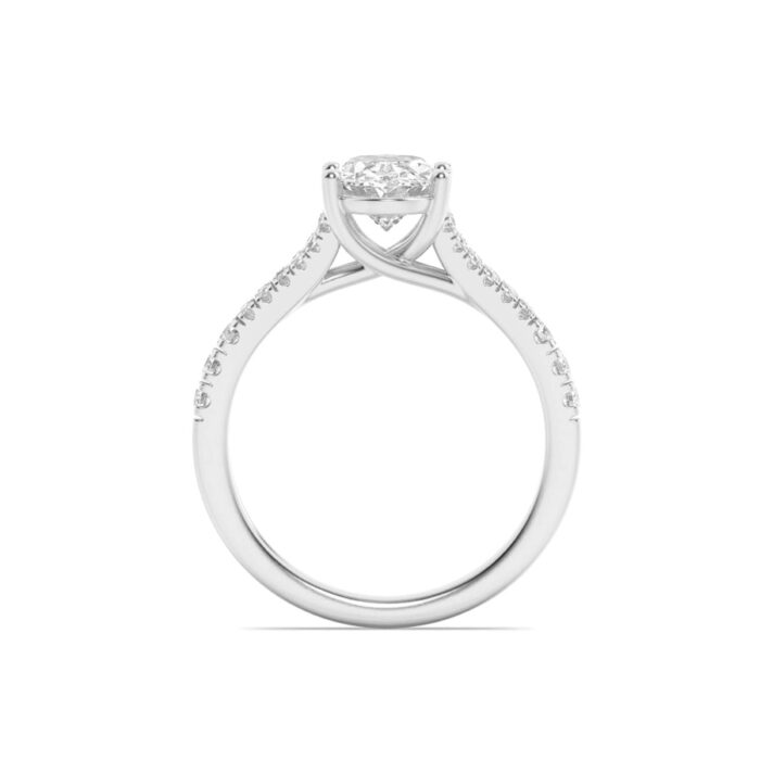 677559_2.jpg 677559_2.jpg